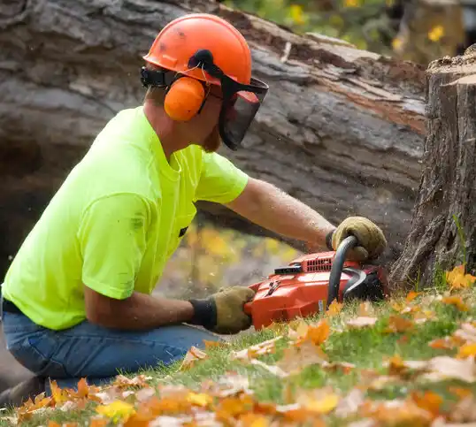 tree services Haslett